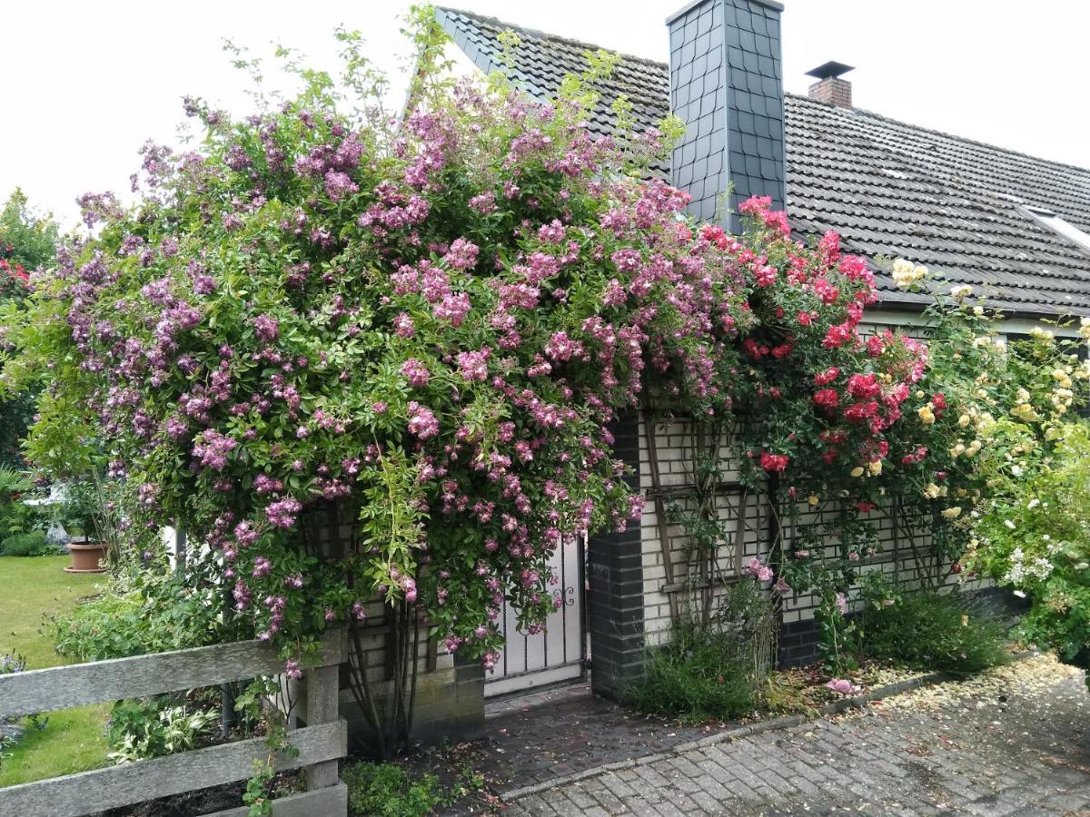 Haus Sielblick Apartman Schillig Kültér fotó